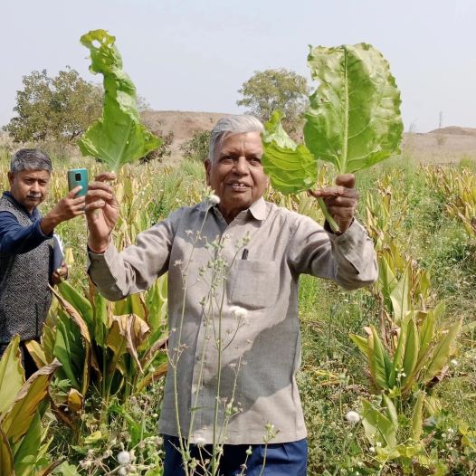 farming-school-2