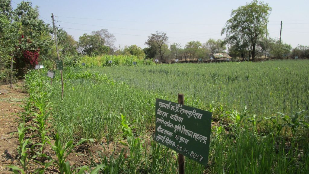 kheti-4